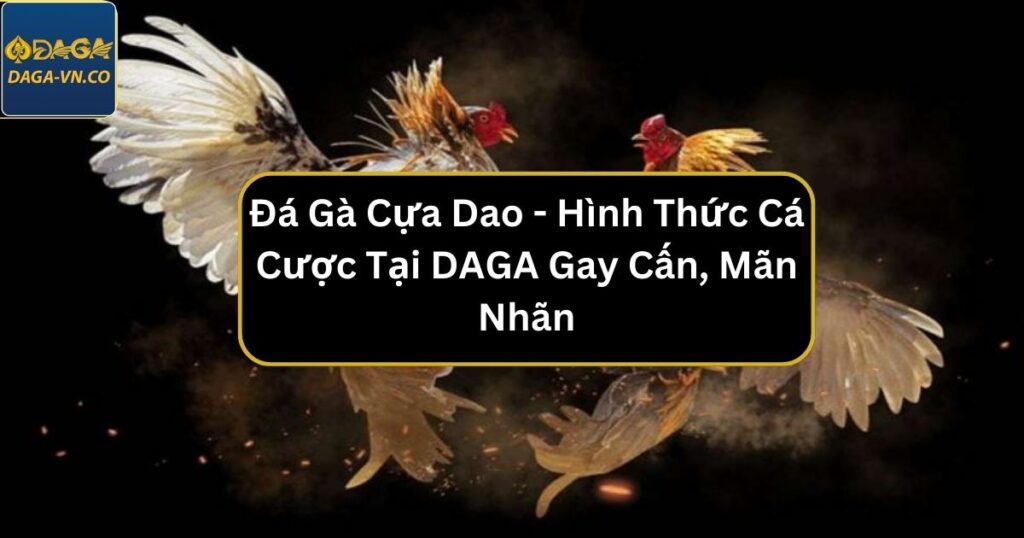 da ga cua dao